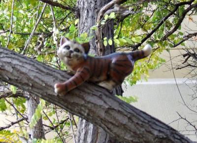 Прикрепленное изображение: DSCF6236.jpg